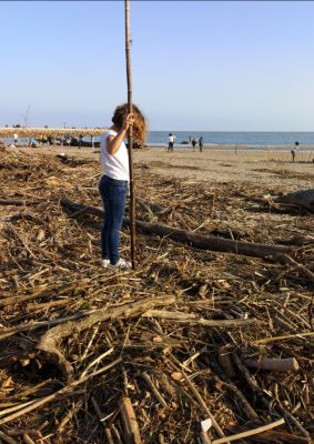 Mako
Dans les bois mais au sens propre !!! Sur la plage de Valras aprÃ¨s la tempÃªte... 
