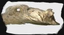 Nom du fichier=Copie_de_Bois_Sans_titre_9.jpeg
Taille du fichier=67Ko
Dimensions : 767x422
Ajouté le : 03 Décembre 2015 Copie_de_Bois_Sans_titre_9.jpeg