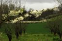 Nom du fichier=DSC01121.jpg
Taille du fichier=295Ko
Dimensions : 1000x668
Ajouté le : 06 Avril 2015 DSC01121.jpg