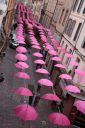 Nom du fichier=IMG_0252.jpg
Taille du fichier=625Ko
Dimensions : 667x1000
Ajouté le : 09 Octobre 2016 IMG_0252.jpg