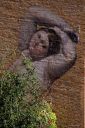 Nom du fichier=IMG_7550_-_copie_w.jpeg
Taille du fichier=396Ko
Dimensions : 667x1000
Ajouté le : 22 Août 2017 IMG_7550_-_copie_w.jpeg
