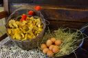 Nom du fichier=omelettes_aux_girolles_1.jpg
Taille du fichier=605Ko
Dimensions : 1000x669
Ajouté le : 29 Mai 2014 omelettes_aux_girolles_1.jpg