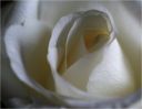 Nom du fichier=rose~0.jpg
Taille du fichier=234Ko
Dimensions : 1002x782
Ajouté le : 28 Octobre 2013 rose~0.jpg