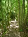 Nom du fichier=sous-bois.jpg
Taille du fichier=149Ko
Dimensions : 600x800
Ajouté le : 16 Mai 2013 sous-bois.jpg