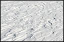 Nom du fichier=Blanc_03.jpg
Taille du fichier=750Ko
Dimensions : 1020x684
Ajouté le : 15 Décembre 2023 Blanc_03.jpg