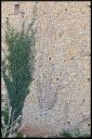 Nom du fichier=mur_03.jpg
Taille du fichier=880Ko
Dimensions : 684x1020
Ajouté le : 23 Février 2024 mur_03.jpg