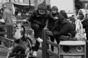 Nom du fichier=DSC02408.JPG
Taille du fichier=179Ko
Dimensions : 1000x669
Ajouté le : 19 Mars 2016 DSC02408.JPG