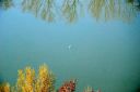 Nom du fichier=DSC_1520ry.jpg
Taille du fichier=832Ko
Dimensions : 1000x669
Ajouté le : 20 Mars 2015 DSC_1520ry.jpg
