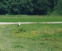 Nom du fichier=DSC_2627a.jpg
Taille du fichier=857Ko
Dimensions : 1126x931
Ajouté le : 12 Juin 2016 DSC_2627a.jpg