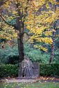 Nom du fichier=DSC_3413a.jpg
Taille du fichier=897Ko
Dimensions : 864x1291
Ajouté le : 12 Décembre 2017 DSC_3413a.jpg