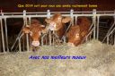 Nom du fichier=voeux_vaches_1.jpg
Taille du fichier=310Ko
Dimensions : 1000x667
Ajouté le : 02 Janvier 2014 voeux_vaches_1.jpg