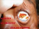 Nom du fichier=OBJECTIF2.jpg
Taille du fichier=22Ko
Dimensions : 800x601
Ajouté le : 11 Février 2013 OBJECTIF2.jpg