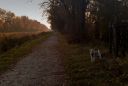 Nom du fichier=promenade_crepusculaire.jpg
Taille du fichier=107Ko
Dimensions : 1000x673
Ajouté le : 28 Novembre 2012 promenade_crepusculaire.jpg