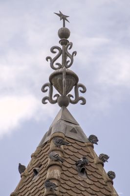 Pierre
