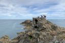 Nom du fichier=201609_Bretagne643.jpg
Taille du fichier=324Ko
Dimensions : 1000x663
Ajouté le : 25 Mars 2024 201609_Bretagne643.jpg