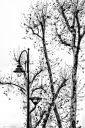 Nom du fichier=_DSC1432.jpg
Taille du fichier=804Ko
Dimensions : 1000x1496
Ajouté le : 21 Décembre 2017 _DSC1432.jpg