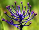 Nom du fichier=IMG_9491_B_.jpg
Taille du fichier=618Ko
Dimensions : 1000x787
Ajouté le : 17 Juin 2016 IMG_9491_B_.jpg