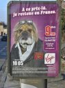 Nom du fichier=DSC_0018.jpg
Taille du fichier=572Ko
Dimensions : 597x800
Ajouté le : 25 Juillet 2017 DSC_0018.jpg