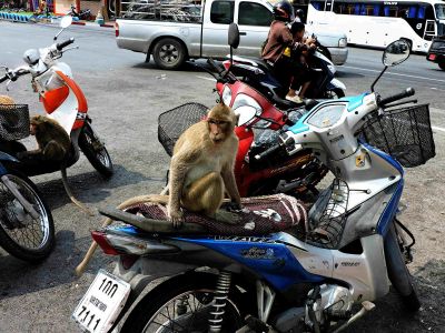 Betty
Un p'tit tour de scoot
