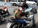Nom du fichier=173SINGES_THAILANDE-RED.JPG
Taille du fichier=313Ko
Dimensions : 1200x900
Ajouté le : 01 Avril 2025 173SINGES_THAILANDE-RED.JPG