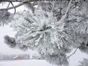 Nom du fichier=Blanc.jpeg
Taille du fichier=933Ko
Dimensions : 1200x900
Ajouté le : 20 Décembre 2023 Blanc.jpeg