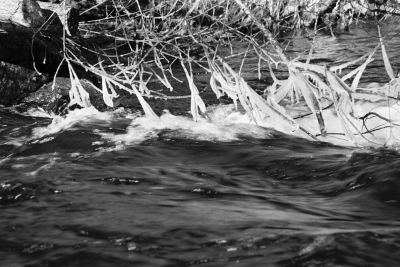 Catherine - De glace et d eau
