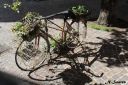 Nadine_Cahors_Velo_resultat.jpg
