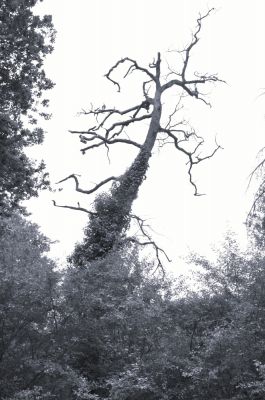 Gérard Soubiran
Mots-clés: Gérard Soubiran