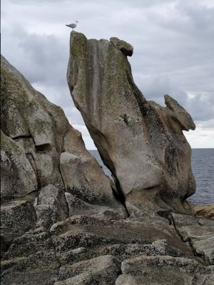 G. Soubiran 5
Mots-clés: G. Soubiran 5