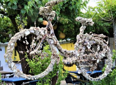 Velo à la plage
Gilbert
