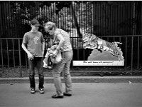 ImagesSauvette 05
